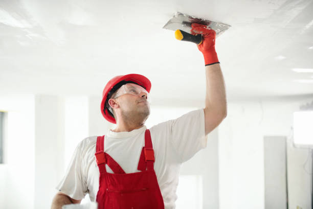 Professional Drywall & Painting Services in Dupont, PA